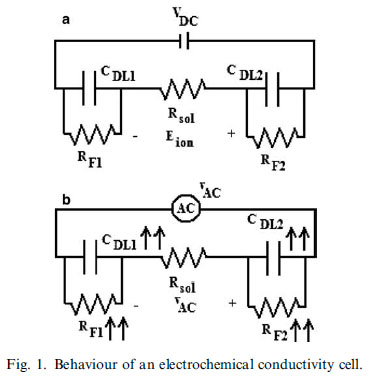 Behaviour of an electrochemical