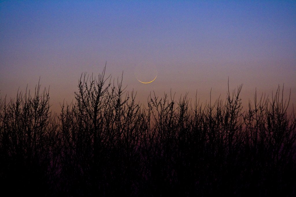 Moonset.jpg