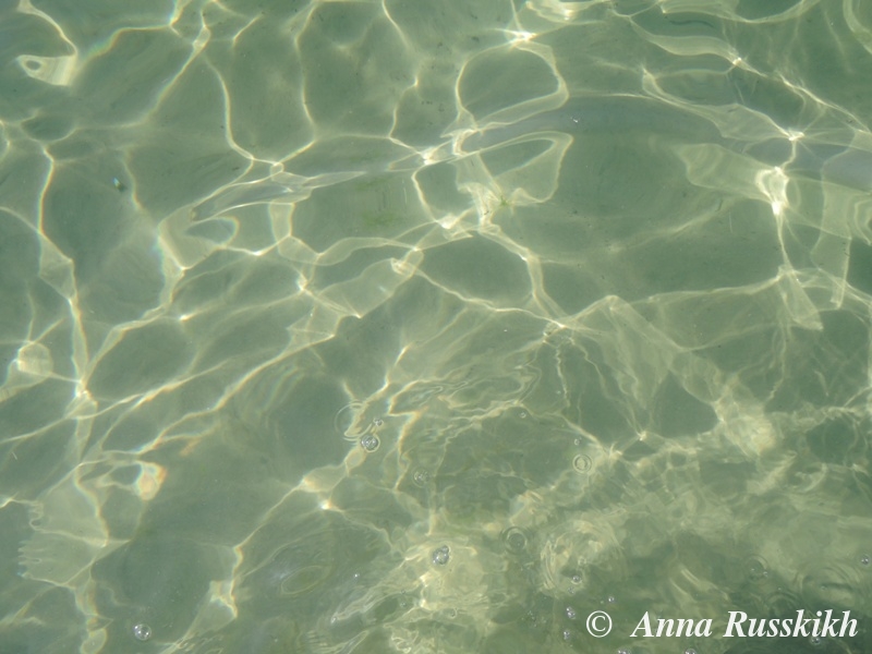 watermarked - Море вода (1).JPG