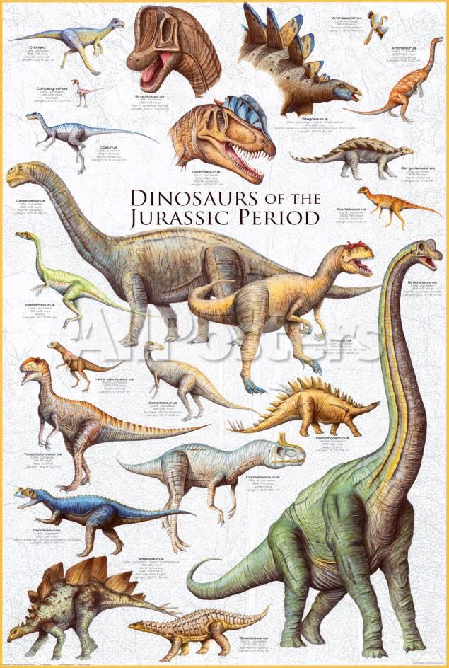 dinosaurs-jurassic-period_a-G-44
