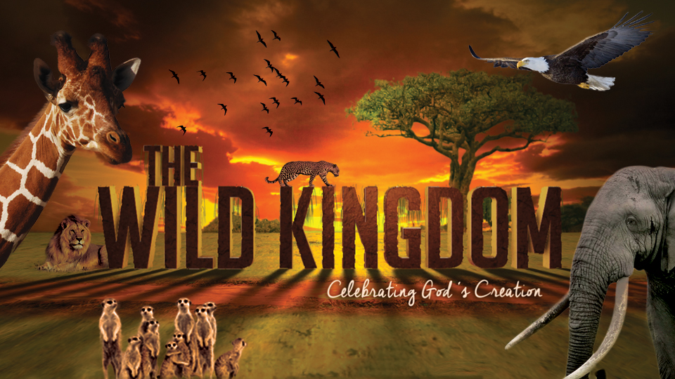 The-Wild-Kingdom_960.jpg