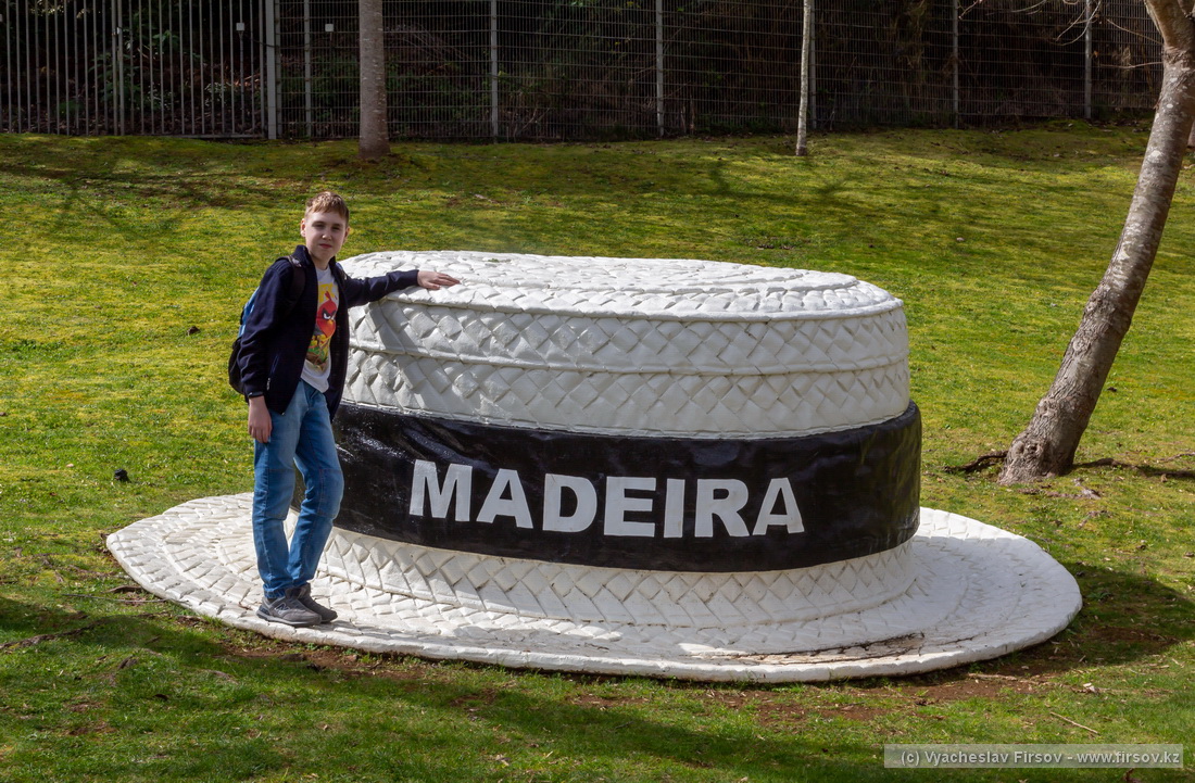 Madeira-1 (20).jpg