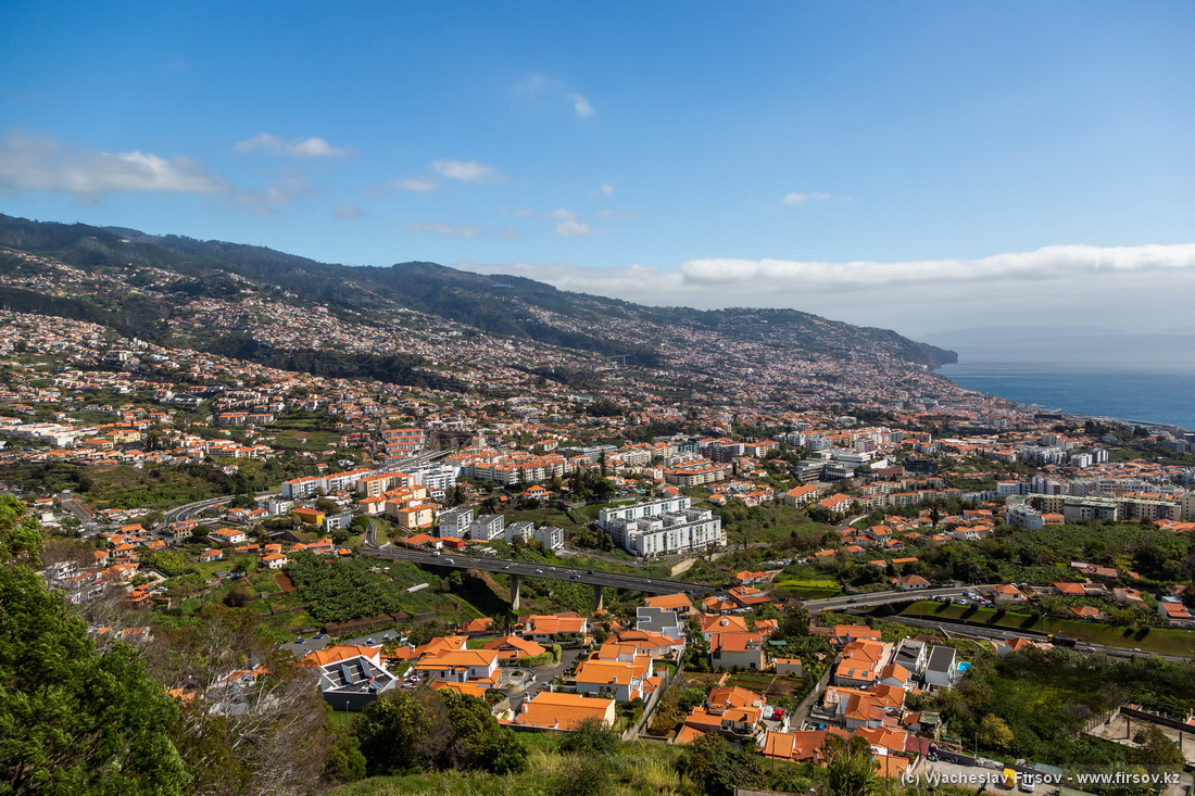 Madeira-2 (9).jpg
