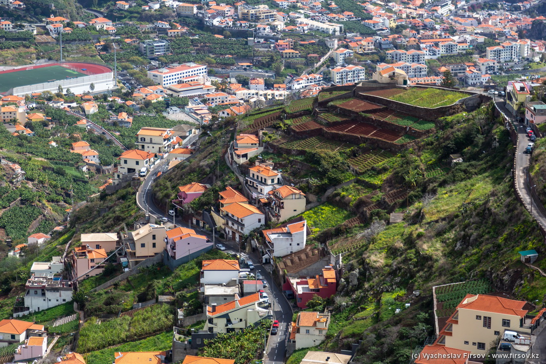 Madeira-2 (19).jpg