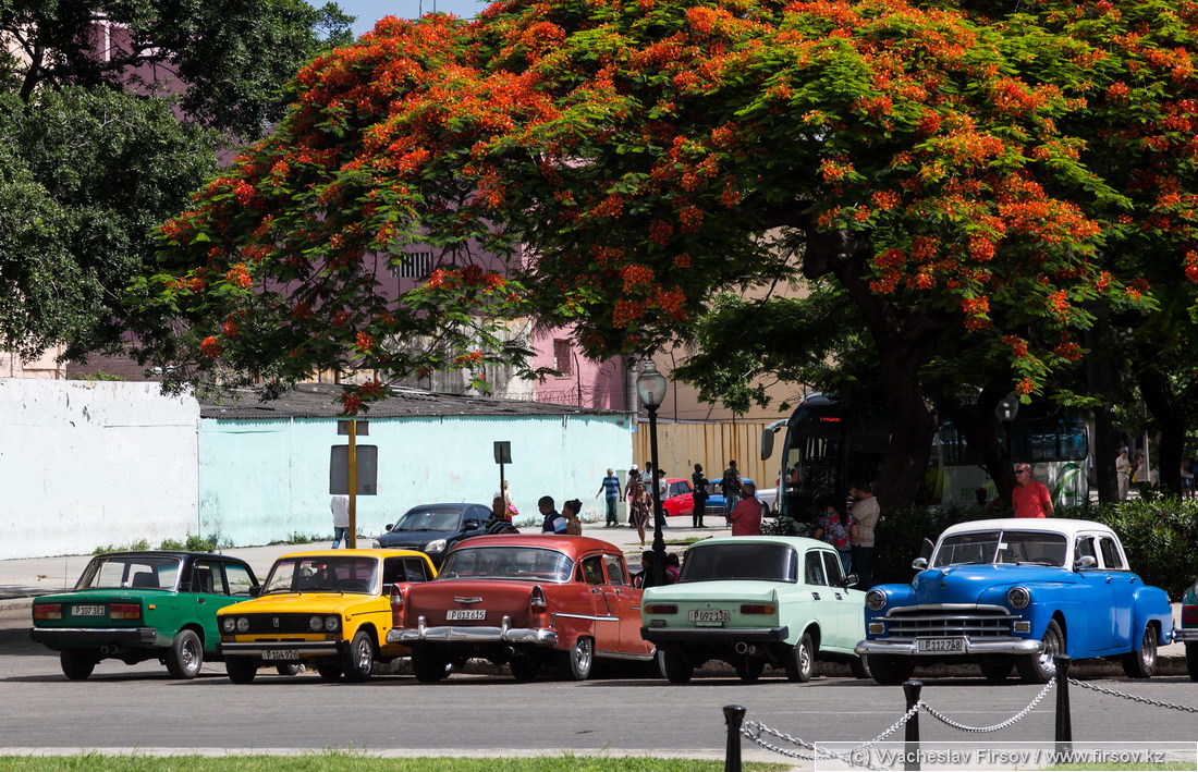 Havana-museum (65).jpg
