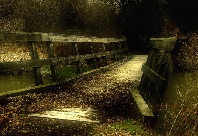 Abandoned-Wooden-Bridge-stock49.