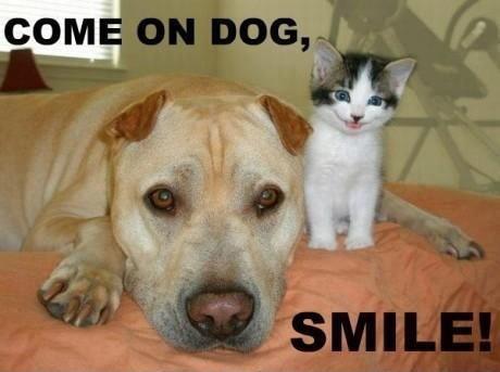 Come-on-dog-smile.jpg