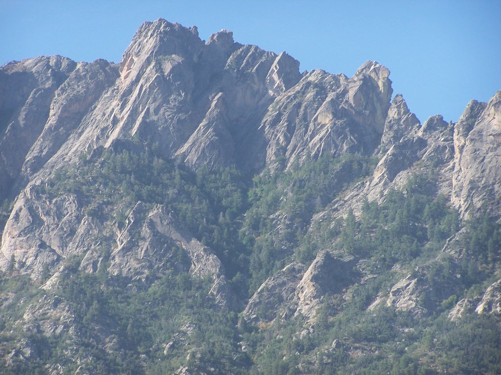 Organ Mountains - Pine Tree Trai