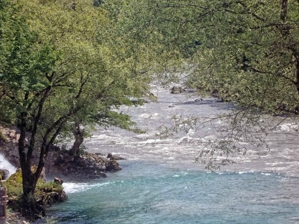Река Бзыбь