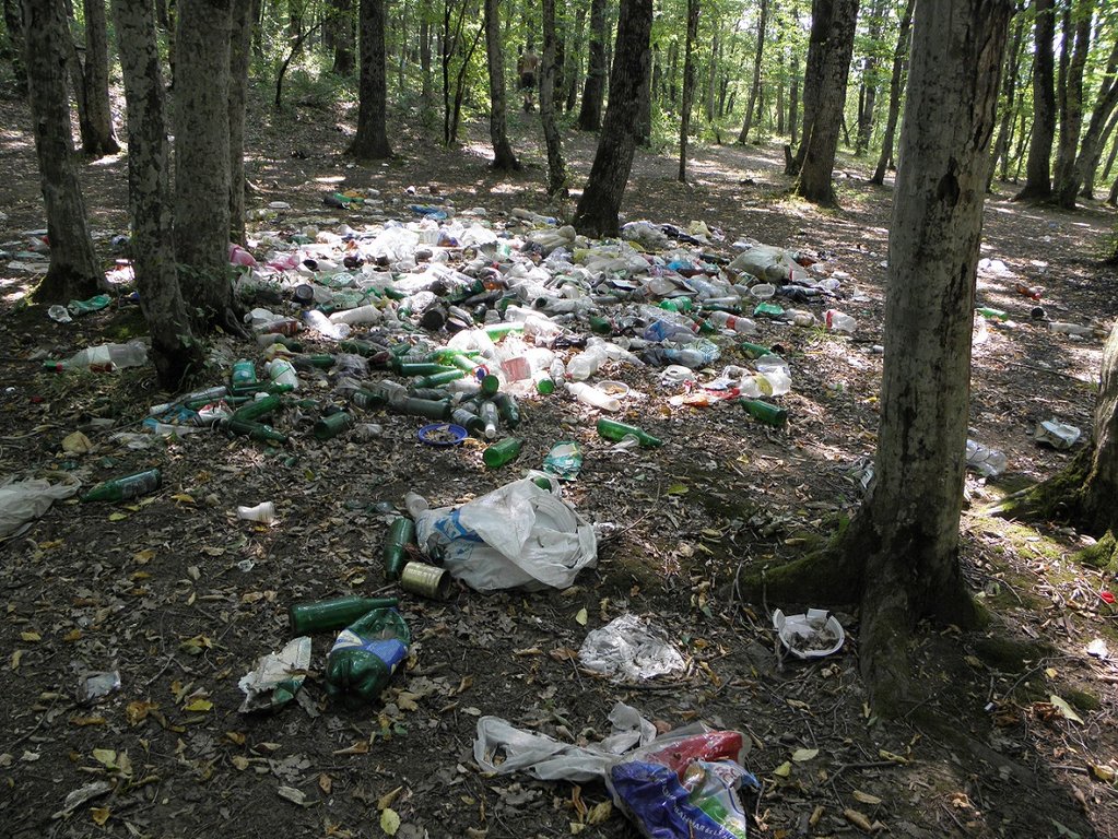 мусор в лесу.jpg