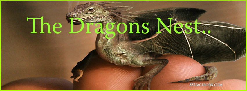 fantasy--rare-real-mini-dragon-c