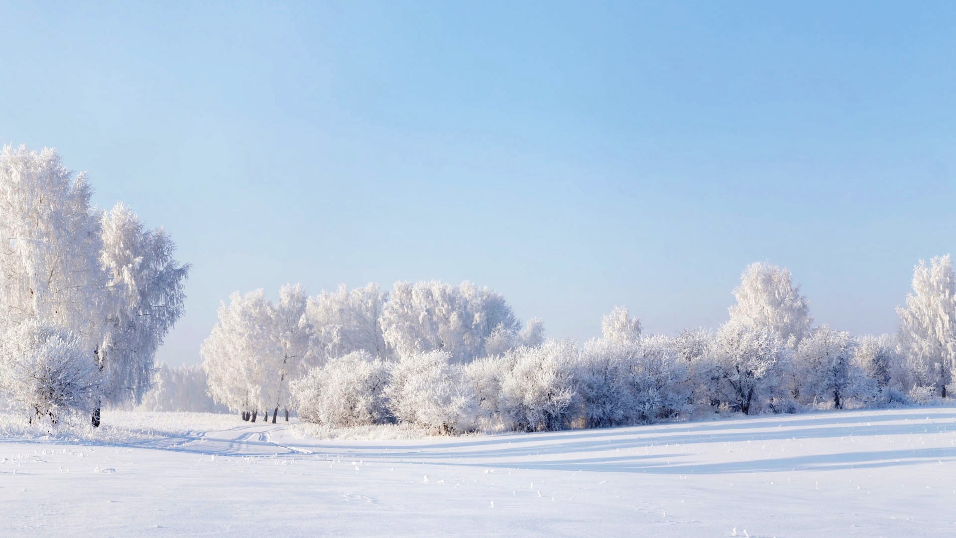 005_Wallpapers -  Nature Winter_