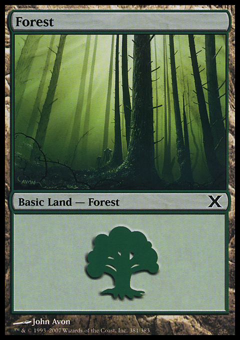 Forest2.full.jpg
