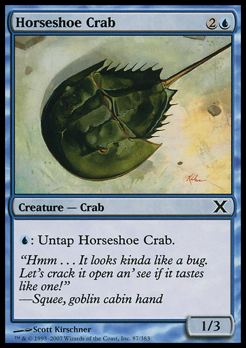 Horseshoe Crab.full.jpg
