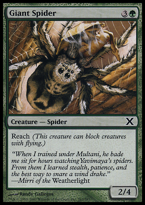 Giant Spider.full.jpg