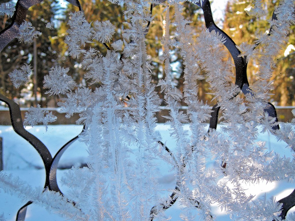 Мороз рисует узоры на окне