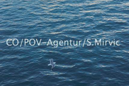 5815CO&POV - Agentur Mirvic.jpg