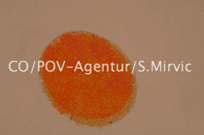 5996CO&POV - Agentur Mirvic.jpg