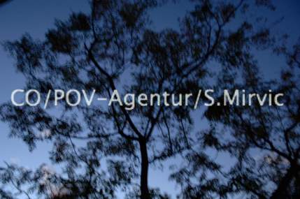 2828CO&POV - Agentur Mirvic.jpg