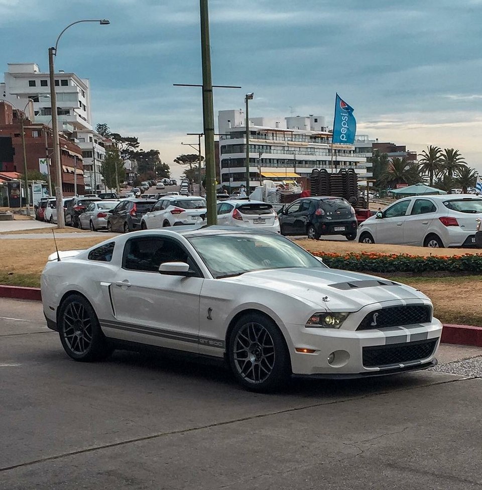 Ford Mustang Shelby.jpg