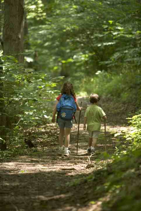 children-hiking-in-the-forest_w4