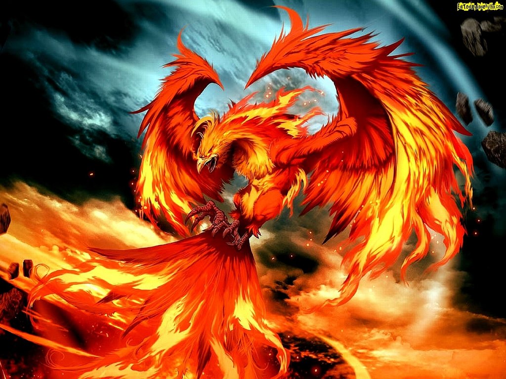 animal-wallpapers-phoenix-bird-f