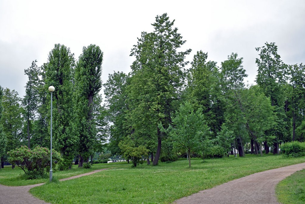 15-июня-2019,-Вяземский-сад-(17)