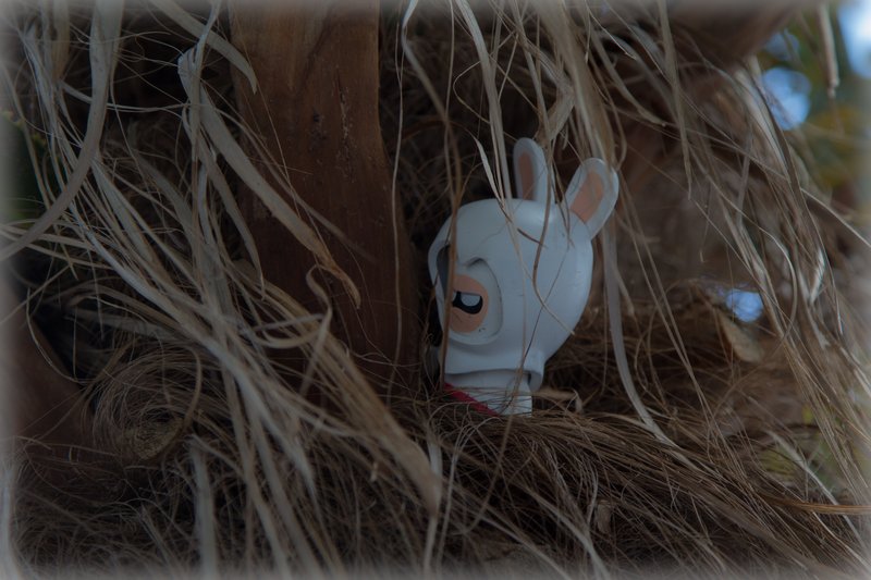 Bunny Creed (Neca) (18).jpg