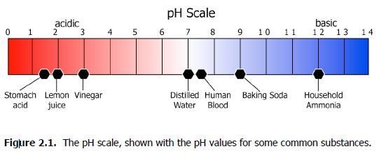 pH values for some common substa