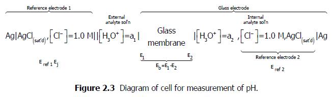 Diagram of cell for measurement