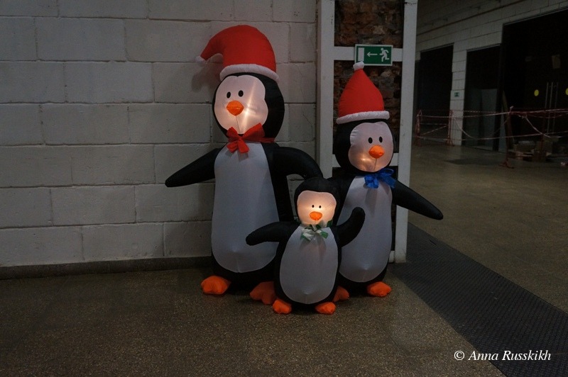 Пингвины (1).JPG