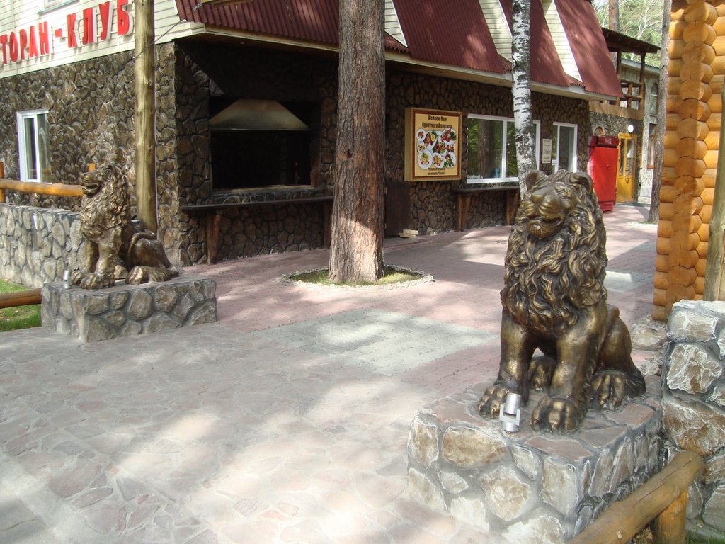 Львы в Заельцовском парке.jpg