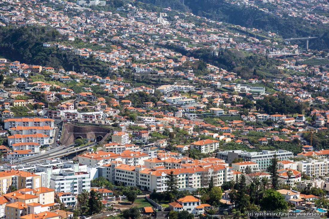 Madeira-2 (7).jpg