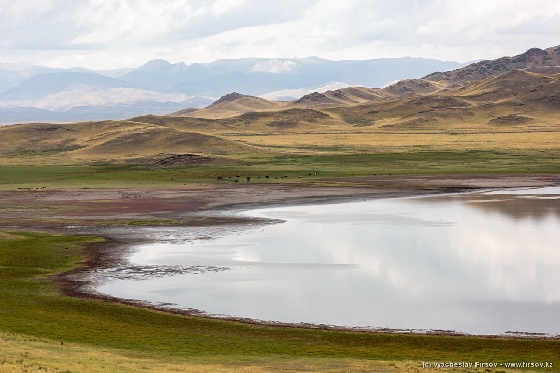 Есть мертвое озеро. Озеро Тузколь. Озеро Тузколь Алматинская область. Озеро Тузколь в Киргизии. Мёртвое озеро Казахстан.