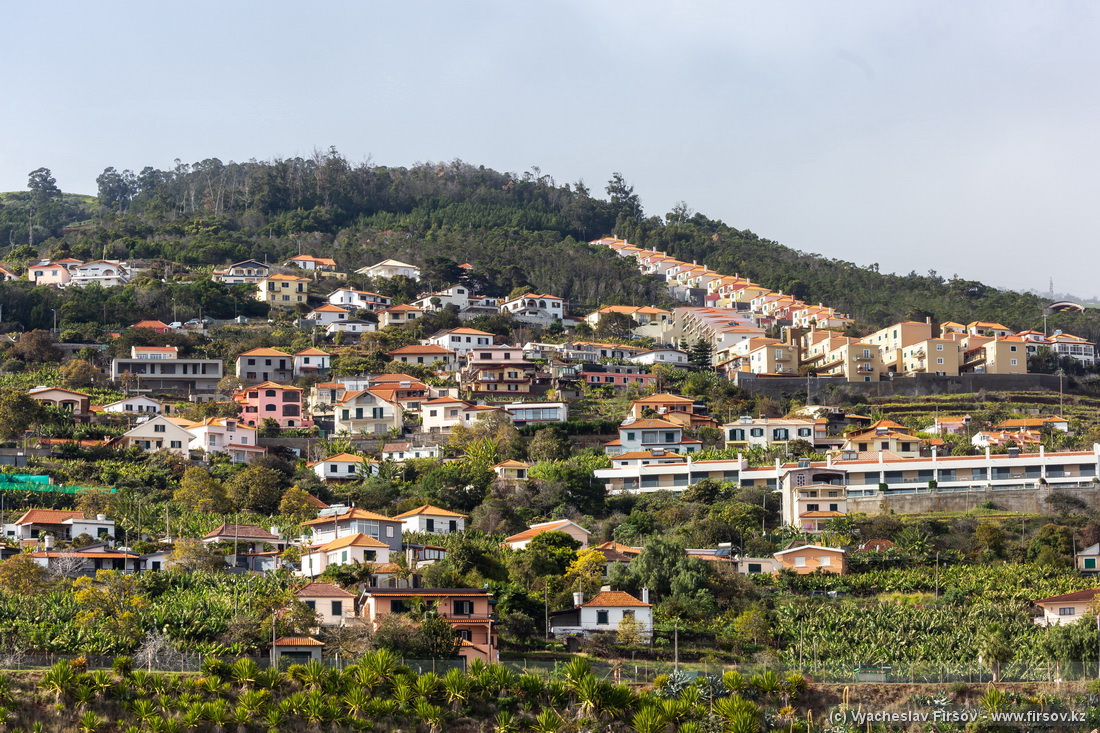 Madeira-2 (1).jpg