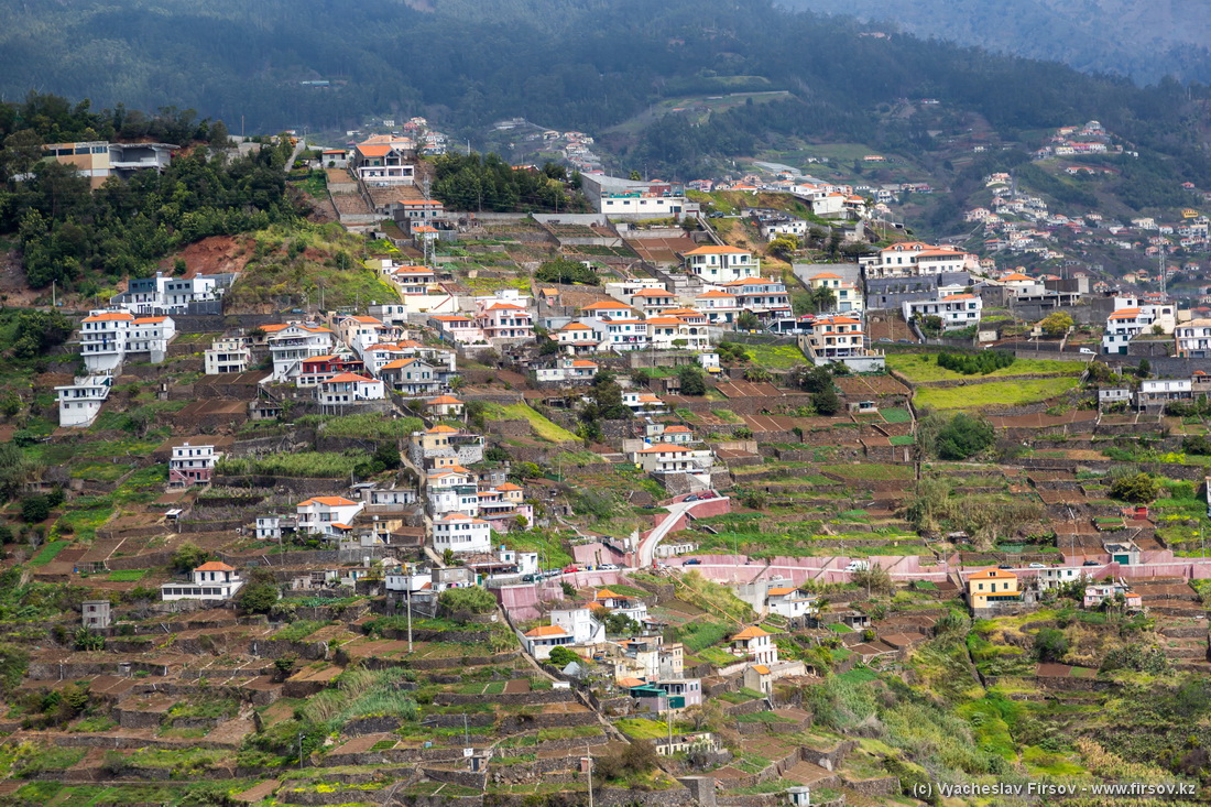 Madeira-2 (21).jpg