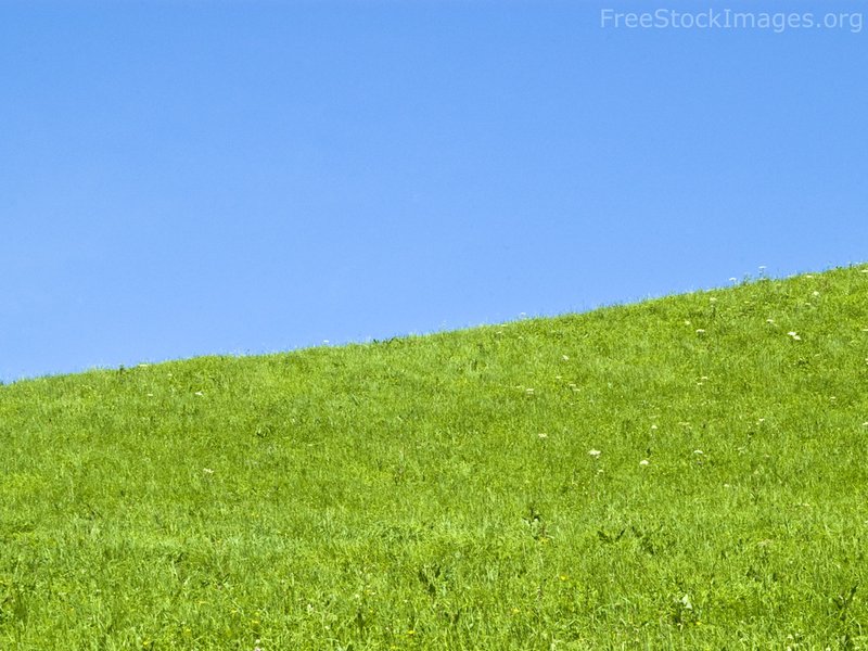 free-stock-images-green-meadow-b