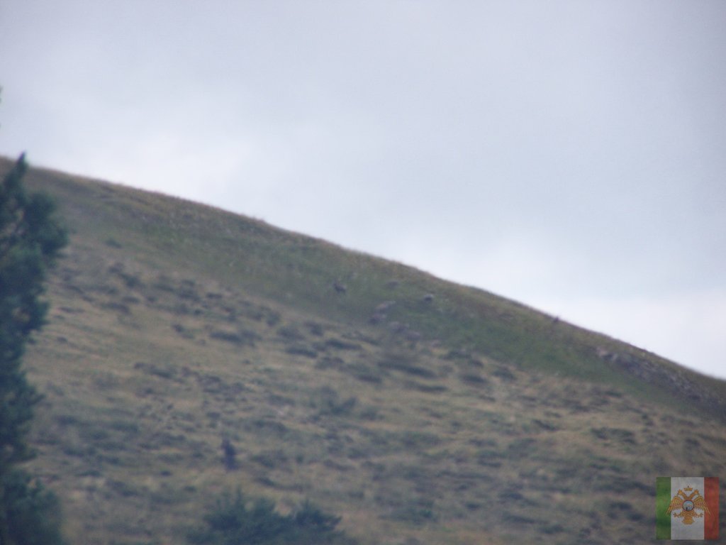 Wheeler Peak (revisted) 0252.jpg