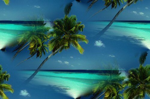 summer-coconut-trees-water.jpg