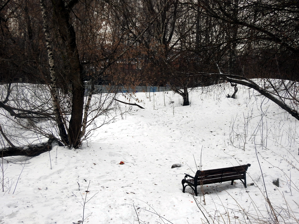 min_Москва - Ботанический сад - С видом на кладбище 28.01.23.jpg