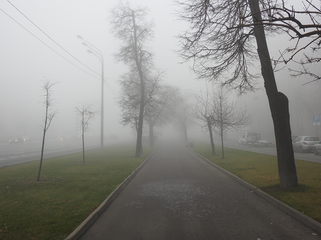 min_Москва - Сегодняшний туман 0