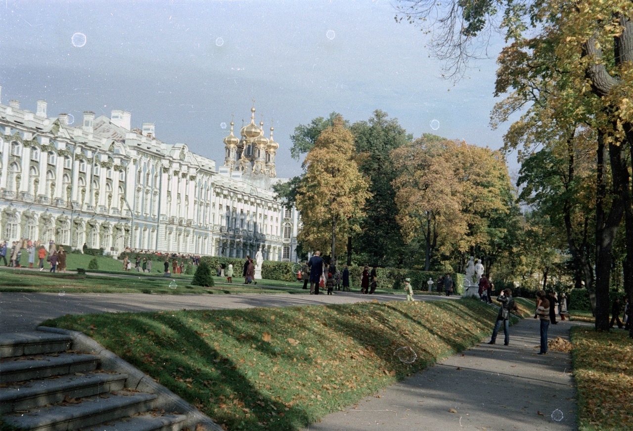 Екатерининский дворец, 1982 год
