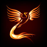 phoenix-vogelfeuerschattenbild-6