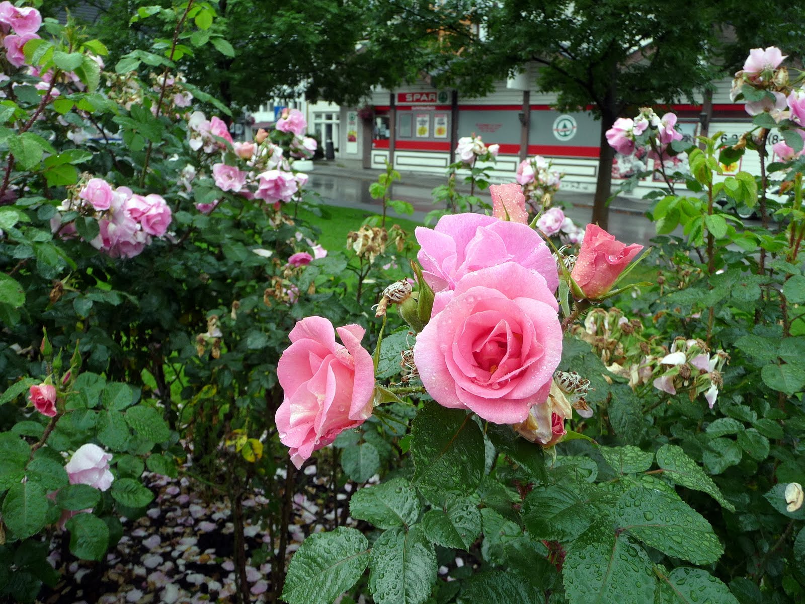 https://b8.dd.icdn.ru/k/ketrik/6/74445536zaX.jpg