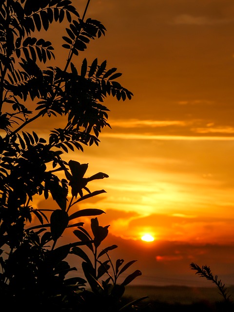sunset-3360726_640.jpg