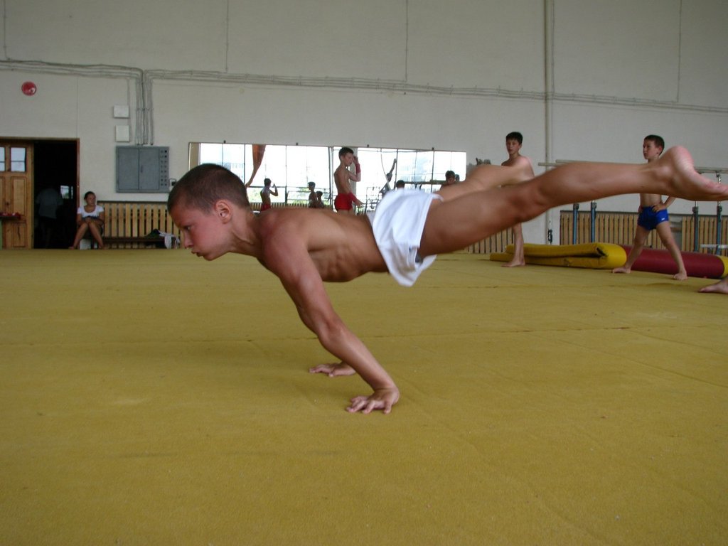 muscle gymnast