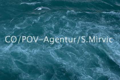 5731CO&POV - Agentur Mirvic.jpg