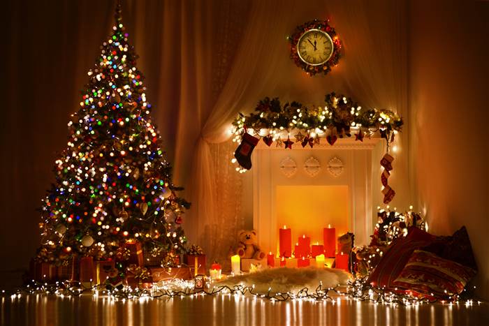 christmas-tree-stock-today-16030