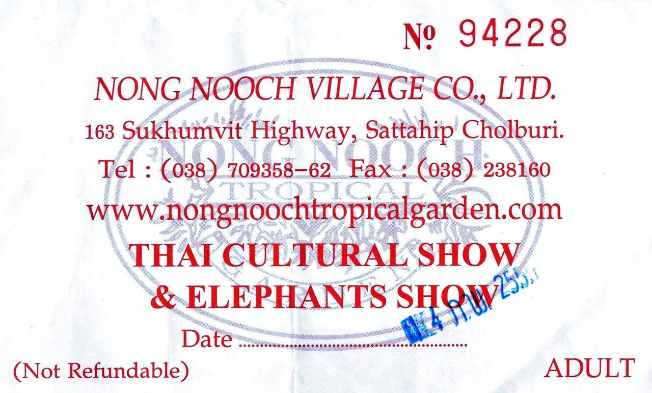 120299-nong-nooch-elephants-show